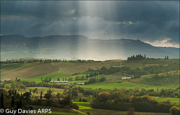 Tuscan Sunbeams
