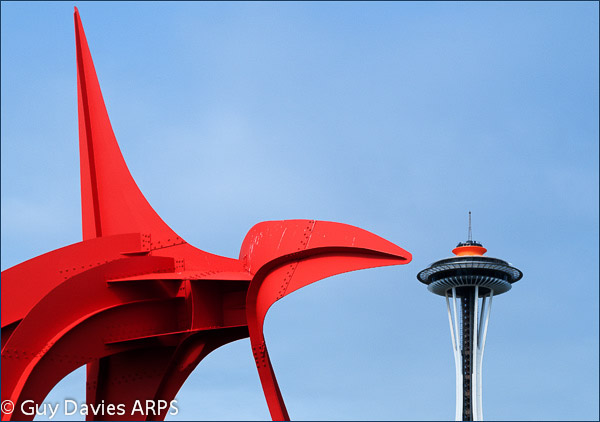 Seattle Shapes